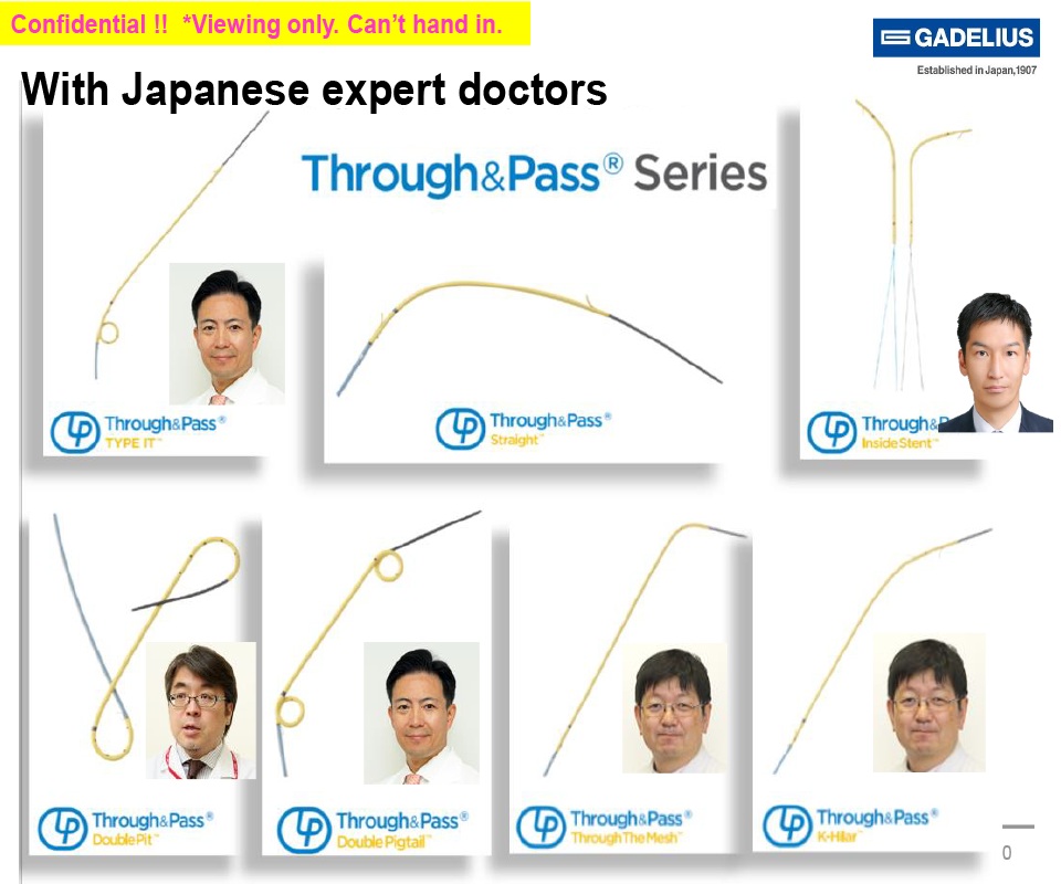 Japanese Experts Doctors